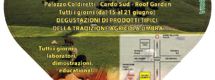 L'Umbria nel cuore - 2